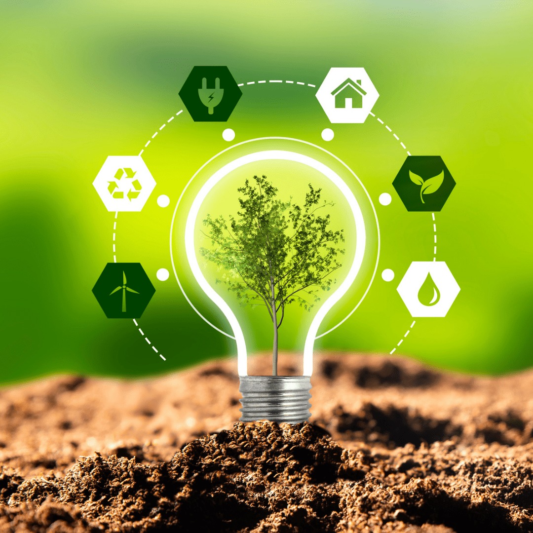 Environmental Sustainability